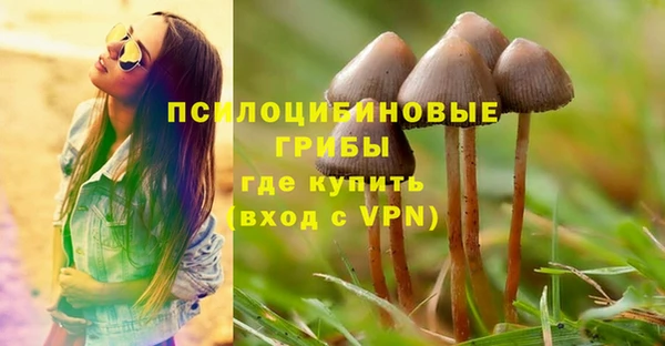 спиды Балахна