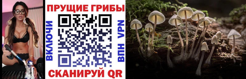 Галлюциногенные грибы мицелий Чулым
